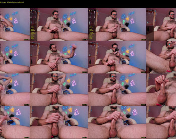 hot_bear_