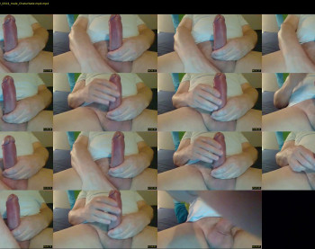 michaels_cock