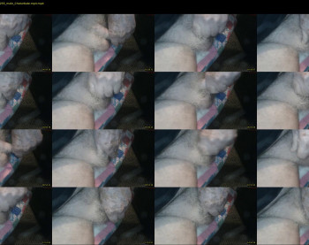 stillhorny53