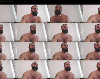 djefri_bear