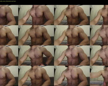 nick_thestud