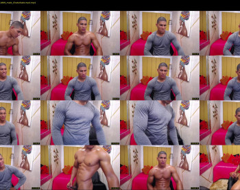 teddyfit19cm