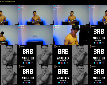 angelx_fox