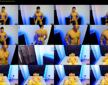 angelx_fox