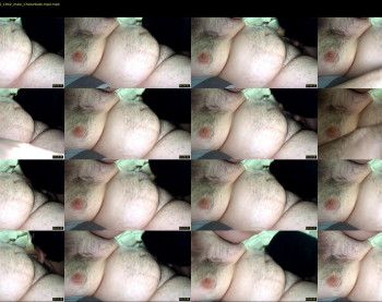 barabearxtube