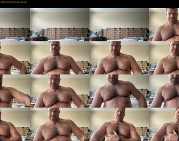 bearjocknwdc