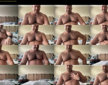 bearjocknwdc