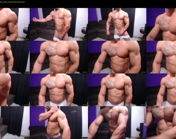 bestmuscle