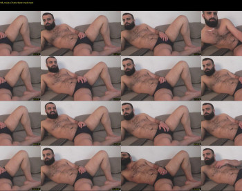 djefri_bear