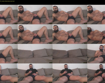djefri_bear