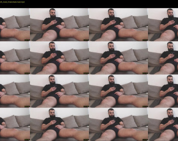 djefri_bear
