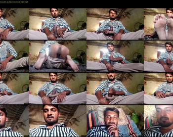 nehayadav8511