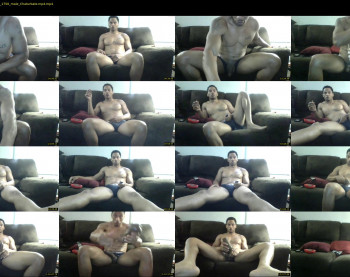 sharkdickwilly
