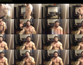 stevebulkzor