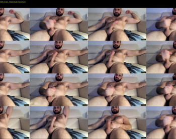 wolfdudefun