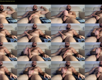 wolfdudefun