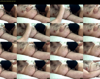 barabearxtube