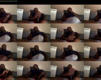 bbc_tonymontana