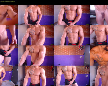 bestmuscle