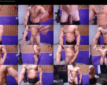 bestmuscle