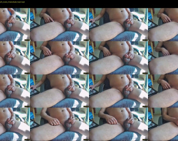 myster_fox