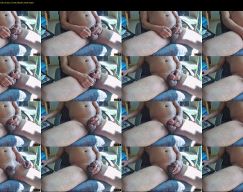 myster_fox