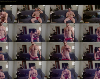 therealkingyoshi