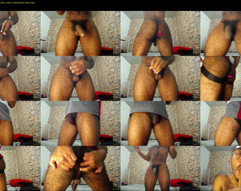 ddly_donato