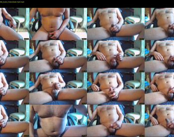 myster_fox