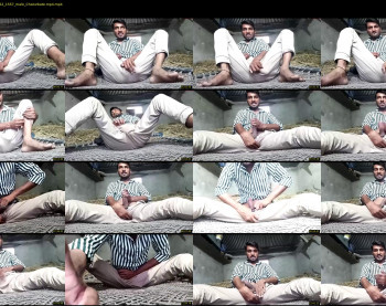 nehayadav8511