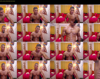 teddyfit19cm