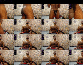 ddly_donato