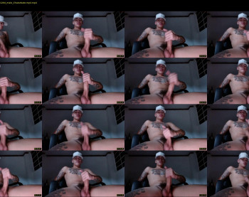 dominickwild