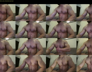 nick_thestud