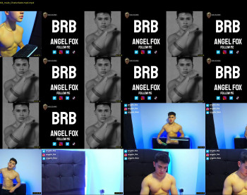 angelx_fox