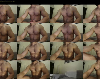 nick_thestud