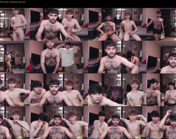 teddy_mode