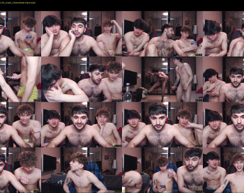 teddy_mode