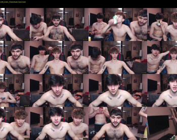 teddy_mode