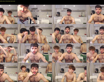 teddy_mode