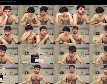 teddy_mode