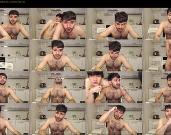 teddy_mode