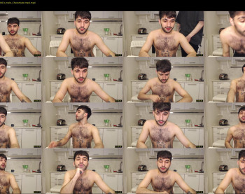teddy_mode