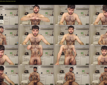 teddy_mode