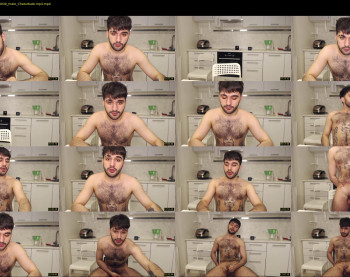 teddy_mode
