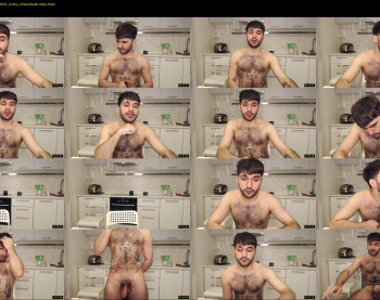 teddy_mode