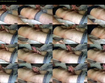 bearcum55744