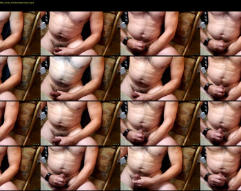 boxsquirter