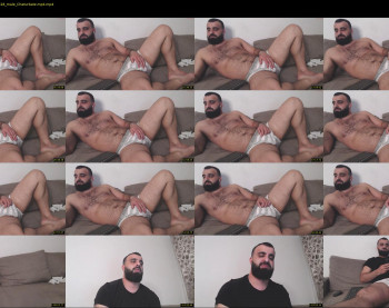 djefri_bear