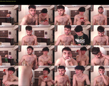 teddy_mode
